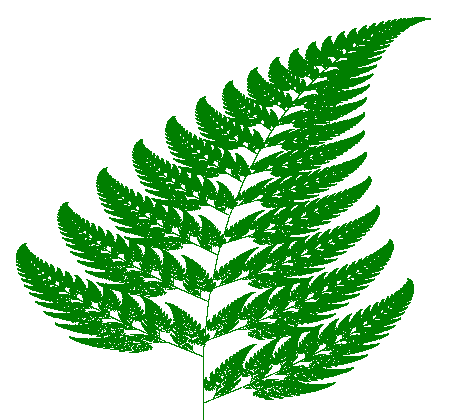 Barnsley fern - Σόλων ΜΚΟ