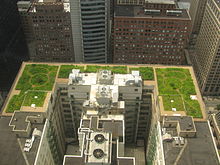 City Hall Green Roof - Σόλων ΜΚΟ