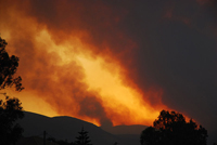 greece forest fire july 25 2007 - Σόλων ΜΚΟ