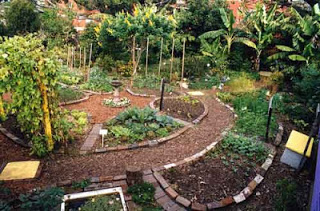 permaculture - Σόλων ΜΚΟ