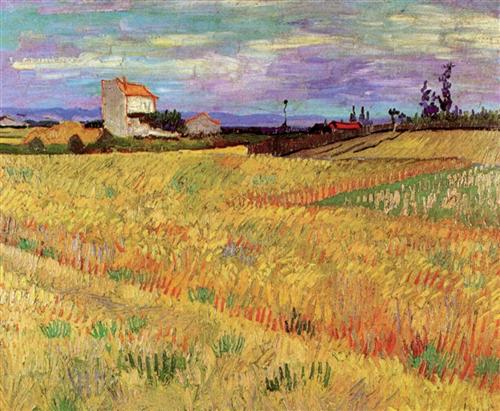 wheat field 1888 van gogh - Σόλων ΜΚΟ