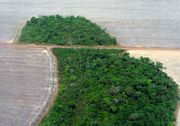Amazon deforestation Mato Grosso - Σόλων ΜΚΟ