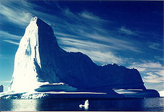 Iceberg - Σόλων ΜΚΟ