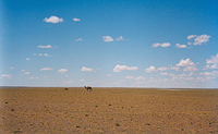 Omnogovi Gobi Desert - Σόλων ΜΚΟ