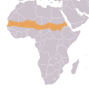 Sahel zone Africa - Σόλων ΜΚΟ