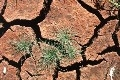 dried cracked earth - Σόλων ΜΚΟ