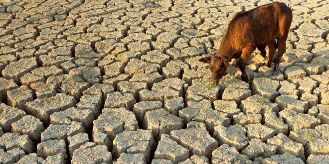 drought water scarcity - Σόλων ΜΚΟ