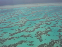 great barrier reef1 - Σόλων ΜΚΟ