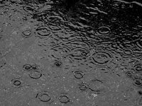 rain - Σόλων ΜΚΟ
