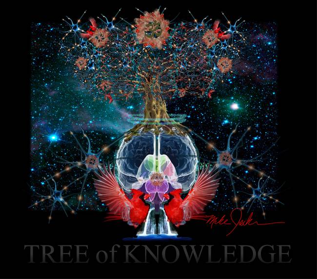 Tree of Knowledge art - Σόλων ΜΚΟ