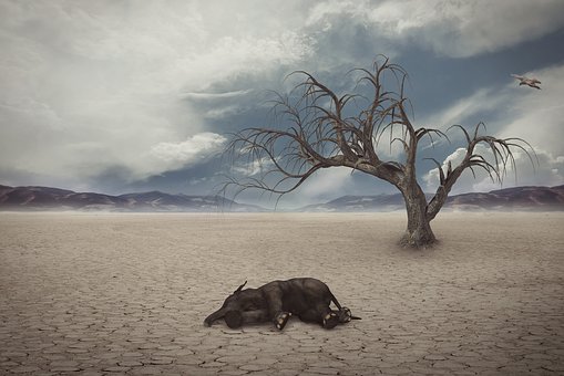 drought 1733889 340 - Σόλων ΜΚΟ