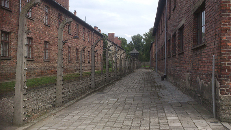 Auschwitz - Σόλων ΜΚΟ