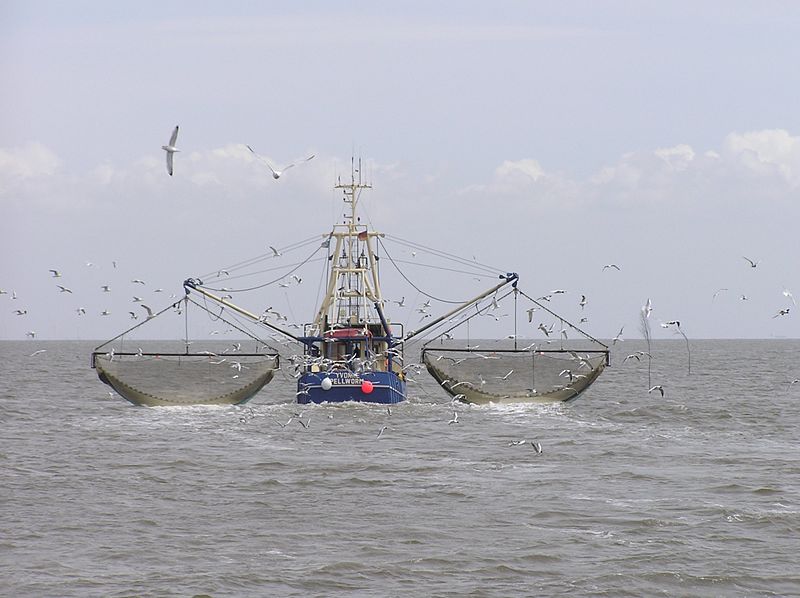 Commercial fishing North Sea - Σόλων ΜΚΟ