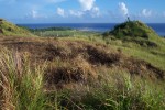 Guam Grassland - Σόλων ΜΚΟ