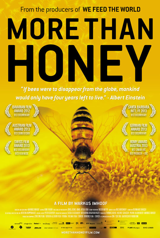More Than Honey - Σόλων ΜΚΟ