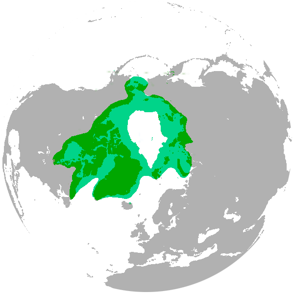 Polar bear range map - Σόλων ΜΚΟ