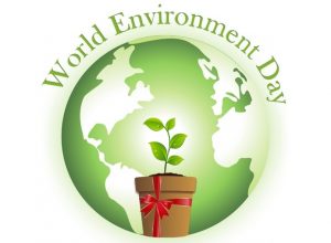 World Environment Day 300x220 1 - Σόλων ΜΚΟ