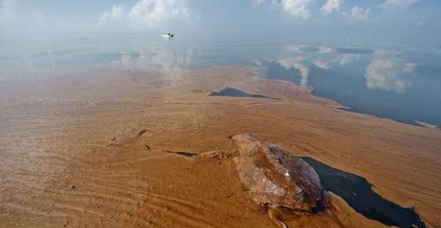 deepwater horizon oil spill turtles - Σόλων ΜΚΟ