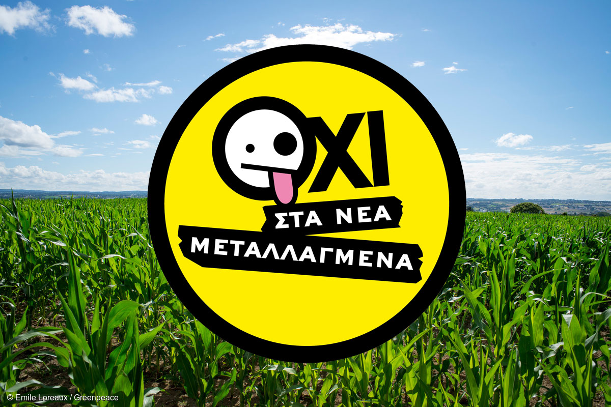 new gto - Σόλων ΜΚΟ