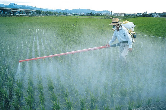 pesticides - Σόλων ΜΚΟ