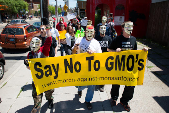 say no to gmo - Σόλων ΜΚΟ