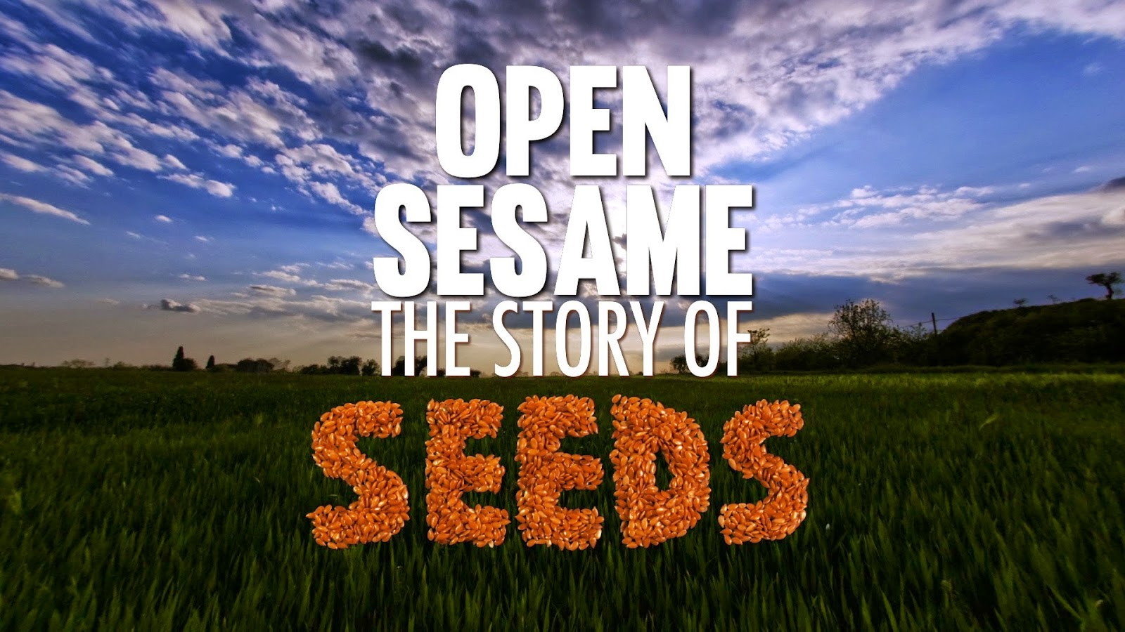 story of seeds - Σόλων ΜΚΟ