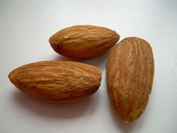 Almonds02 common - Σόλων ΜΚΟ