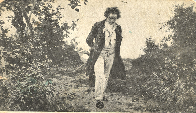 Beethoven walk - Σόλων ΜΚΟ