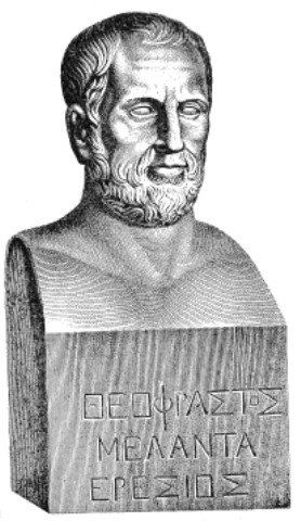 Theophrastus - Σόλων ΜΚΟ