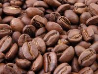 coffee beans - Σόλων ΜΚΟ