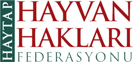 logo haytap 260 - Σόλων ΜΚΟ
