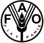 logo fao - Σόλων ΜΚΟ