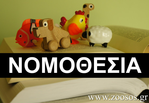 nomothesia 620x431 1 - Σόλων ΜΚΟ