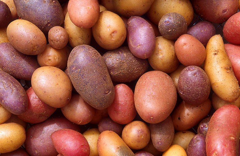 potatoes - Σόλων ΜΚΟ