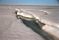 arctic ice melt - Σόλων ΜΚΟ