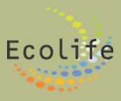 eco logo - Σόλων ΜΚΟ