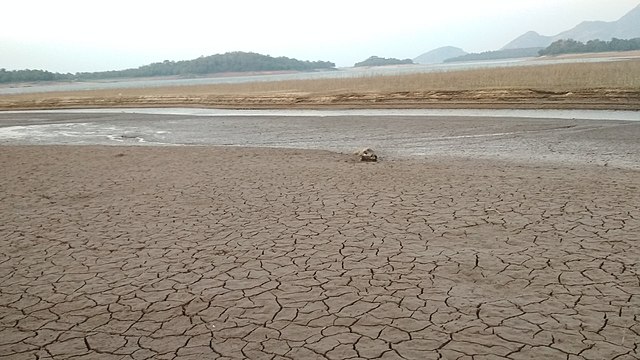640px Drought in a Lake - Σόλων ΜΚΟ